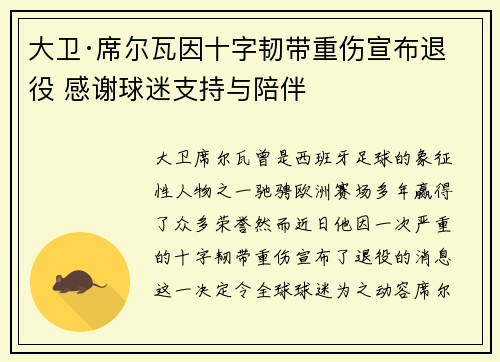 大卫·席尔瓦因十字韧带重伤宣布退役 感谢球迷支持与陪伴